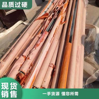 景观护栏与天桥护栏实拍展示 表面功能材料的视觉与性能双重奏